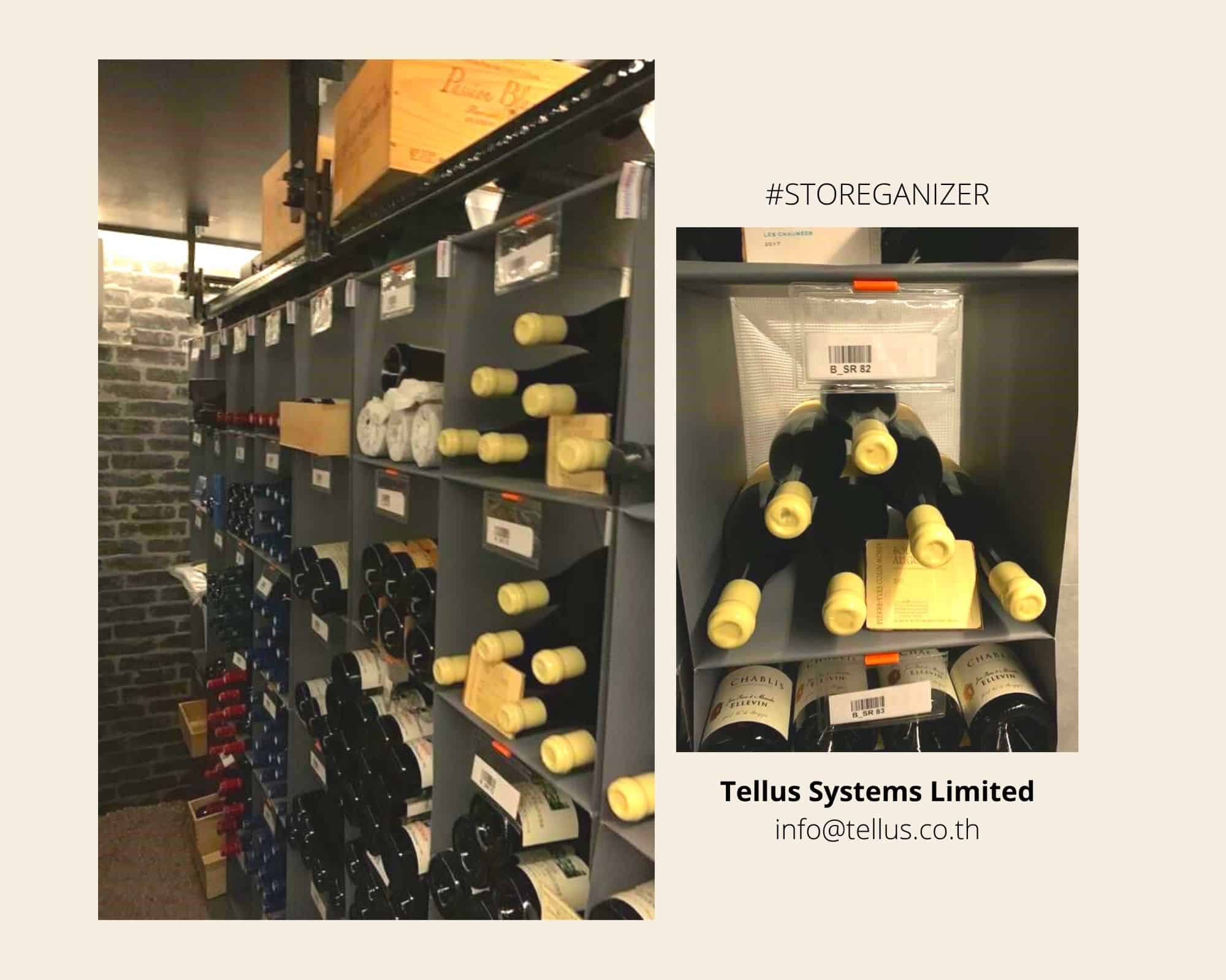 Storeganizer System Solution to maximize the storage by Storeganizer Tellus Storage Systems